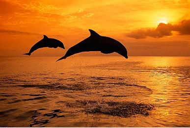 《死亡岛2》PS版容量曝光 PS5约50G