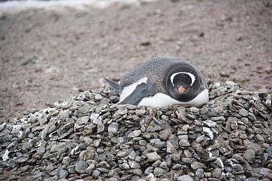 口碑大好！《战神 诸神黄昏》媒体赞誉宣传片公开