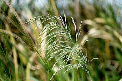 国产新写实主义视觉小说《龙栖》3月21日发售 取材于中国龙母民俗文化